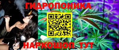дмт Заволжье