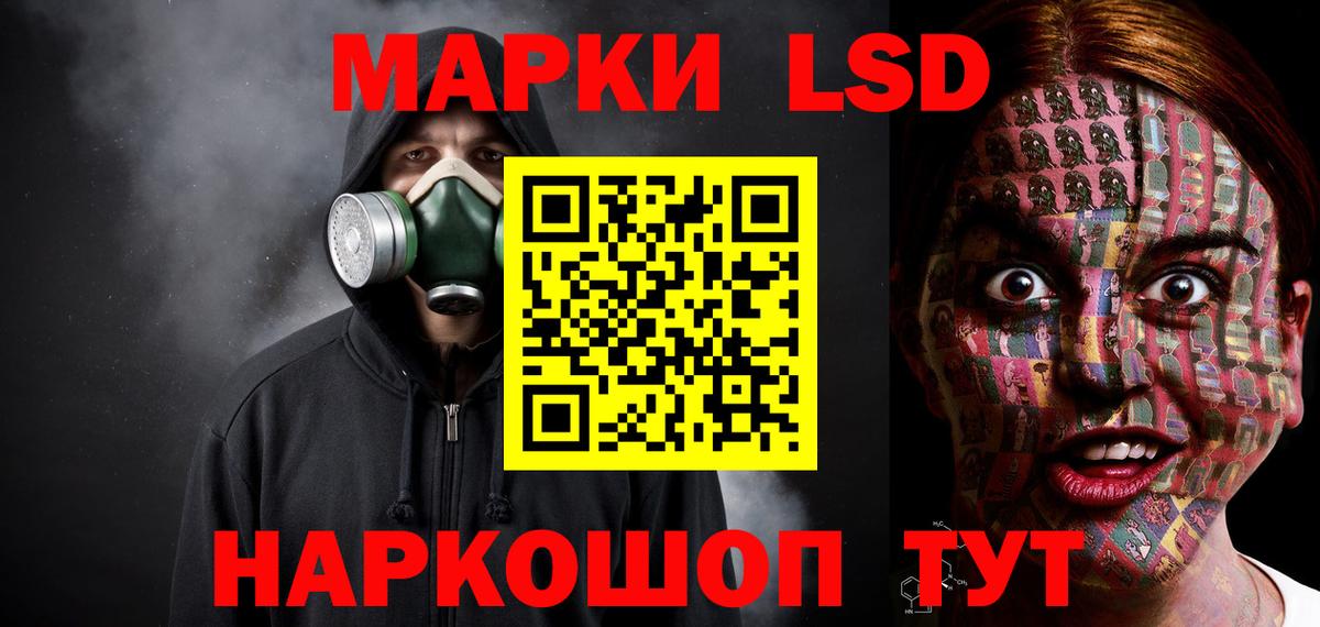 Лсд 25 экстази ecstasy  Вход с VPN  Курчалой  LSD-25 экстази ecstasy 