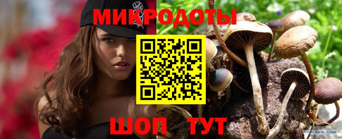 Курчалой  Галлюциногенные грибы ЛСД  Псилоцибиновые грибы Magic Shrooms  Вход с VPN 